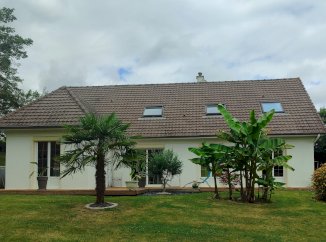 Maison individuelle - Bessé-sur-Braye (72310)