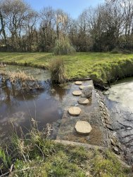Rare opportunité | Très belle longère rénovée au calme absolu - Saint-Gervais (85230)