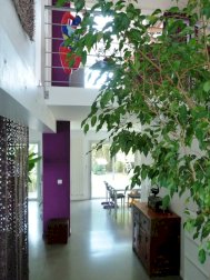 Maison Saint Donatien au calme - Nantes (44000)