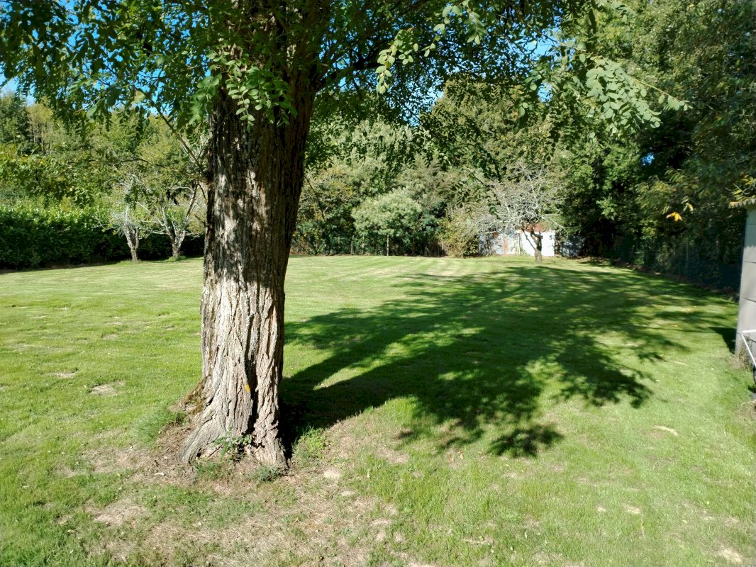 ph10_29837