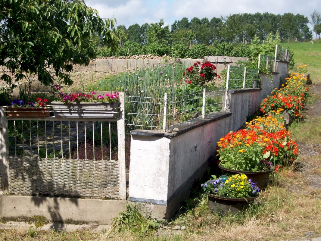 Corps de ferme - Photo 11 - Ernée