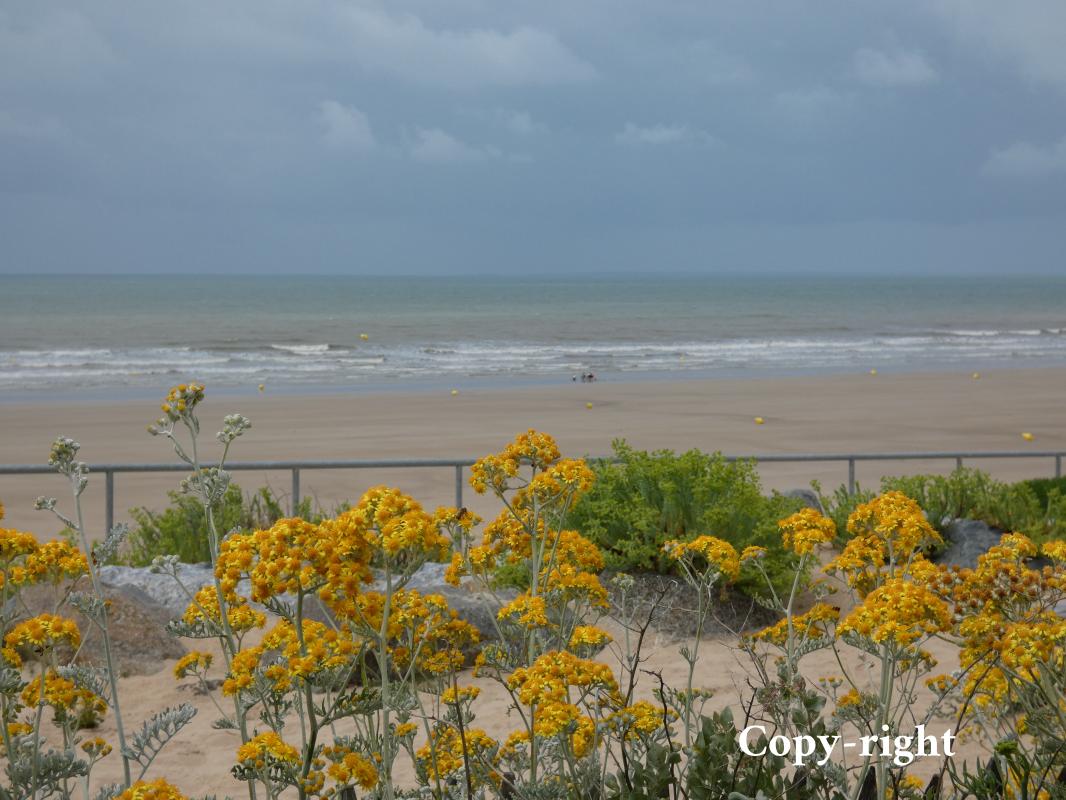 APPARTEMENT BORD DE MER - Photo 11 - Saint-Hilaire-de-Riez
