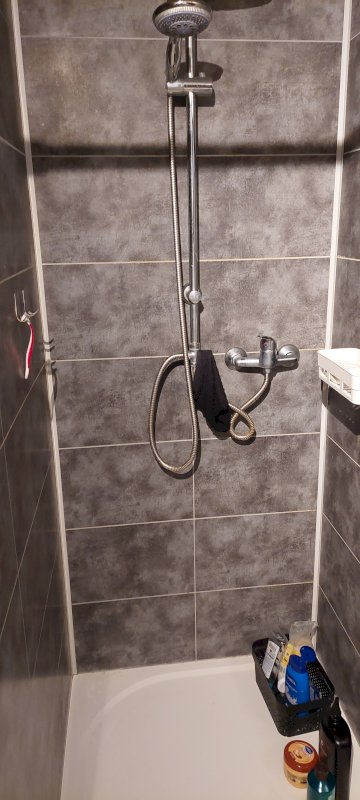 Grande maison - Photo 11 - Bonchamp-lès-Laval