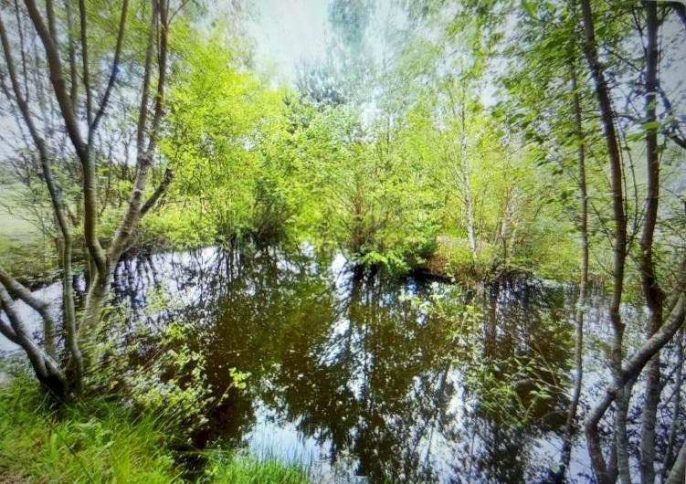 ph12_30250
