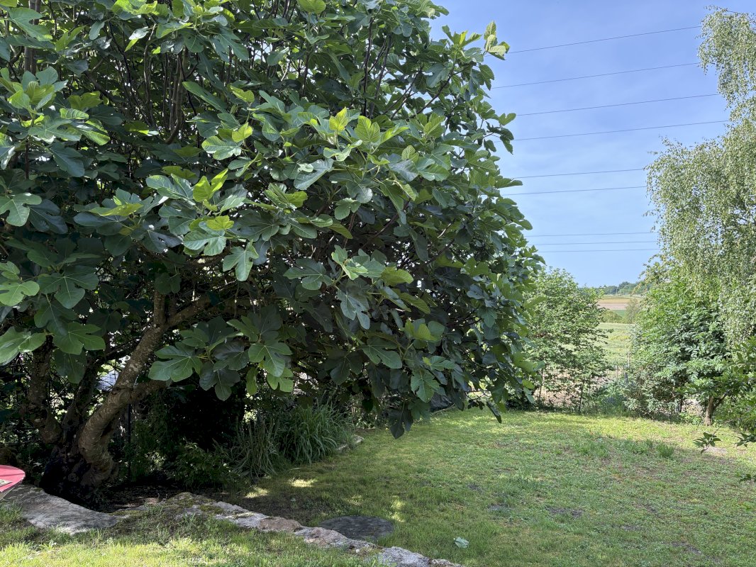 ph12_30528