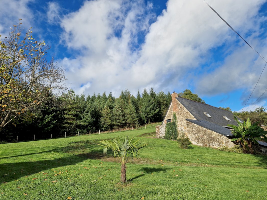 Maison de campagne - Photo 14 - Sainte-Gemmes-le-Robert