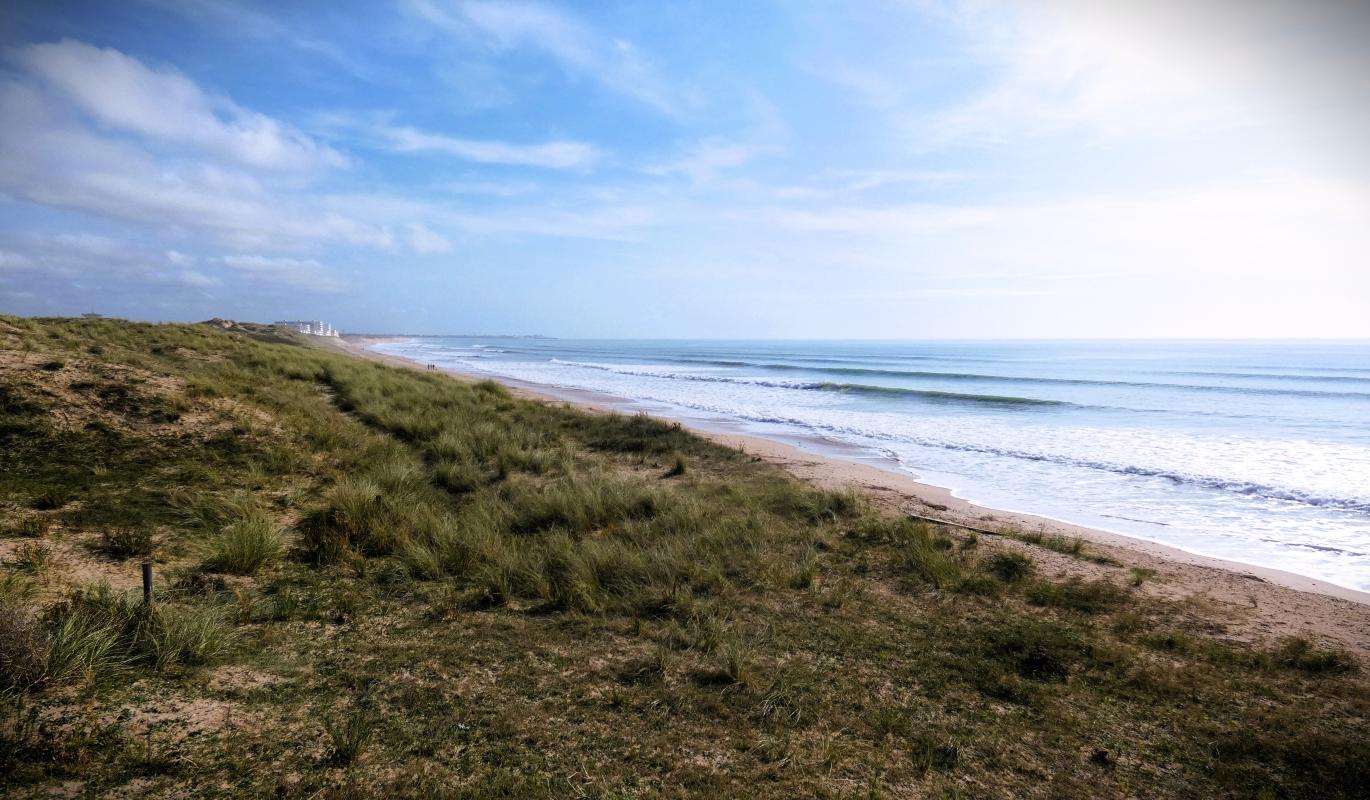 APPARTEMENT BORD DE MER - Photo 14 - Saint-Hilaire-de-Riez