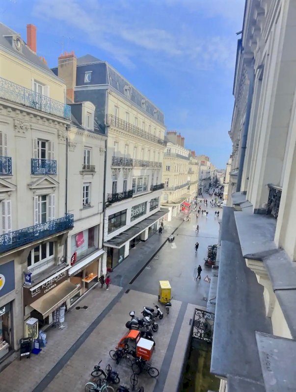 Appart T3 ~70 m² - Photo 15 - Angers