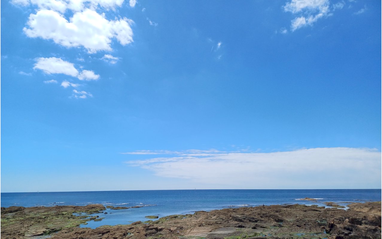 ph1_27290