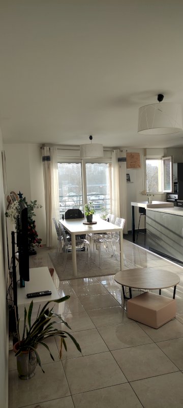 Appartement de 81 m² / Vue port - Photo 1 - Le Mans