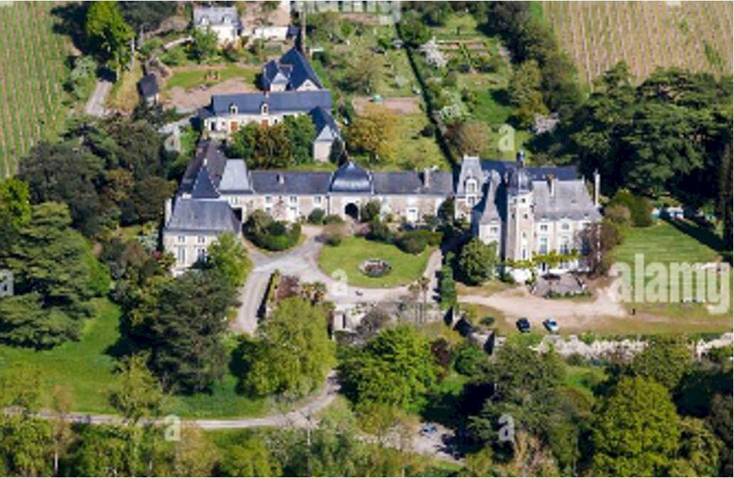 Aile de château du 18ème - Photo 1 - Savennières