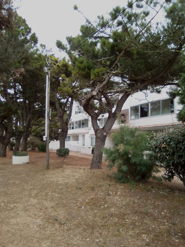 Agréable T2 proche plages - Photo 1 - Saint-Hilaire-de-Riez