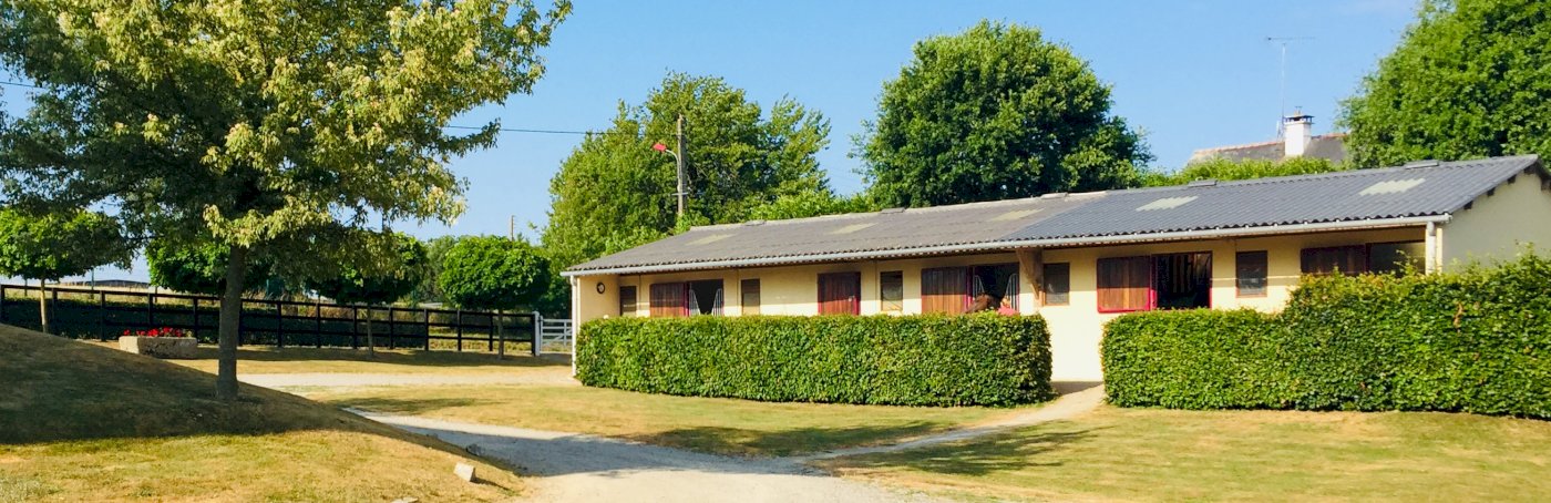 Maison avec une ecurie et terrain - Photo 2 - Senonnes