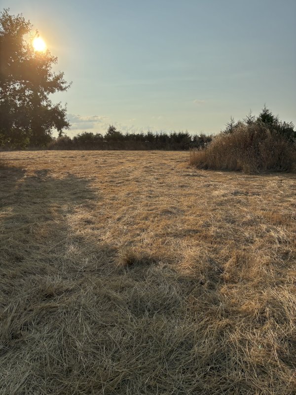 ph2_30215