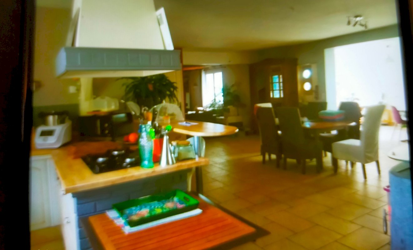 Maison + Appartement meublé - Photo 3 - Remouillé