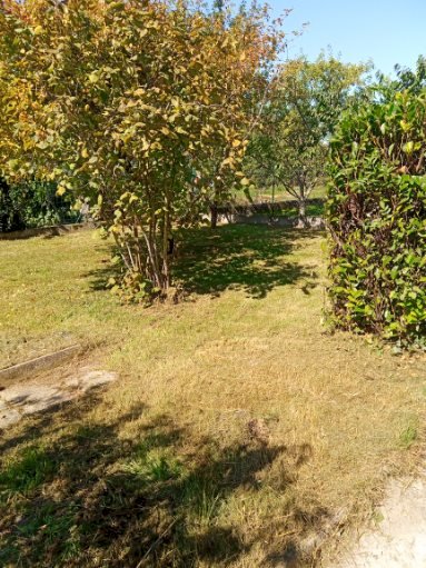 Maison arboré au calme - Photo 3 - Sainte-Suzanne-et-Chammes