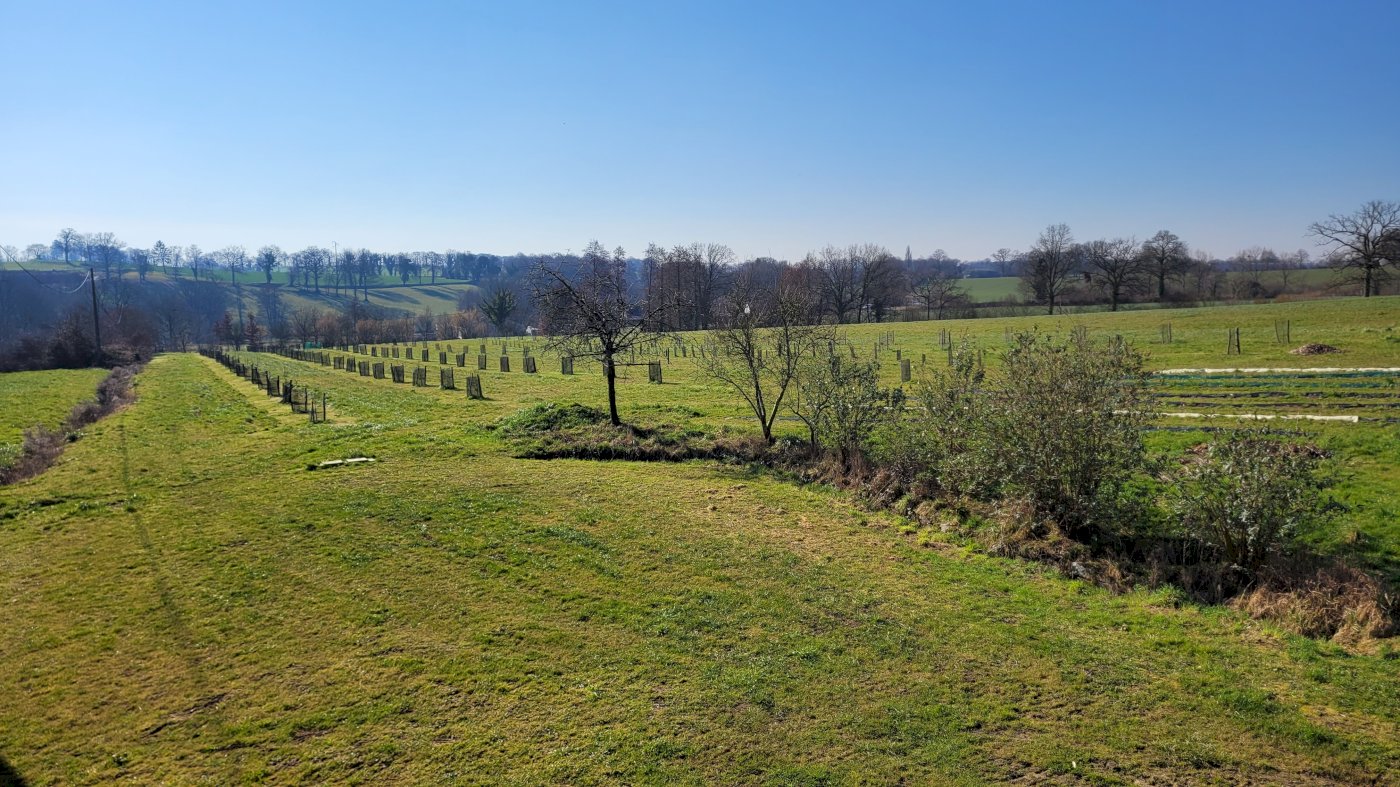 Corps de ferme - Photo 5 - Ernée