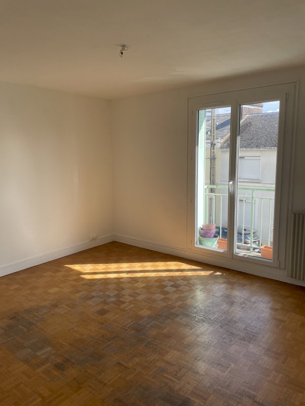 Appartement F3 Quartier Jaurès - Photo 5 - Le Mans