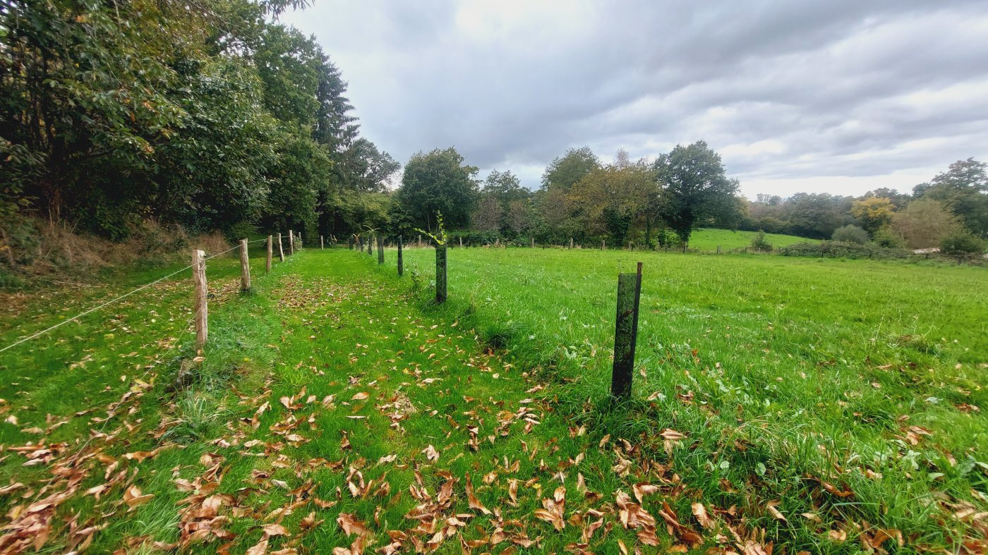 Longère de 30m de long - Photo 6 - Montaudin