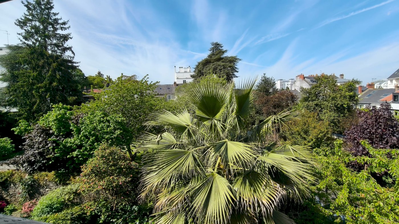 Maison Saint Donatien au calme - Photo 7 - Nantes