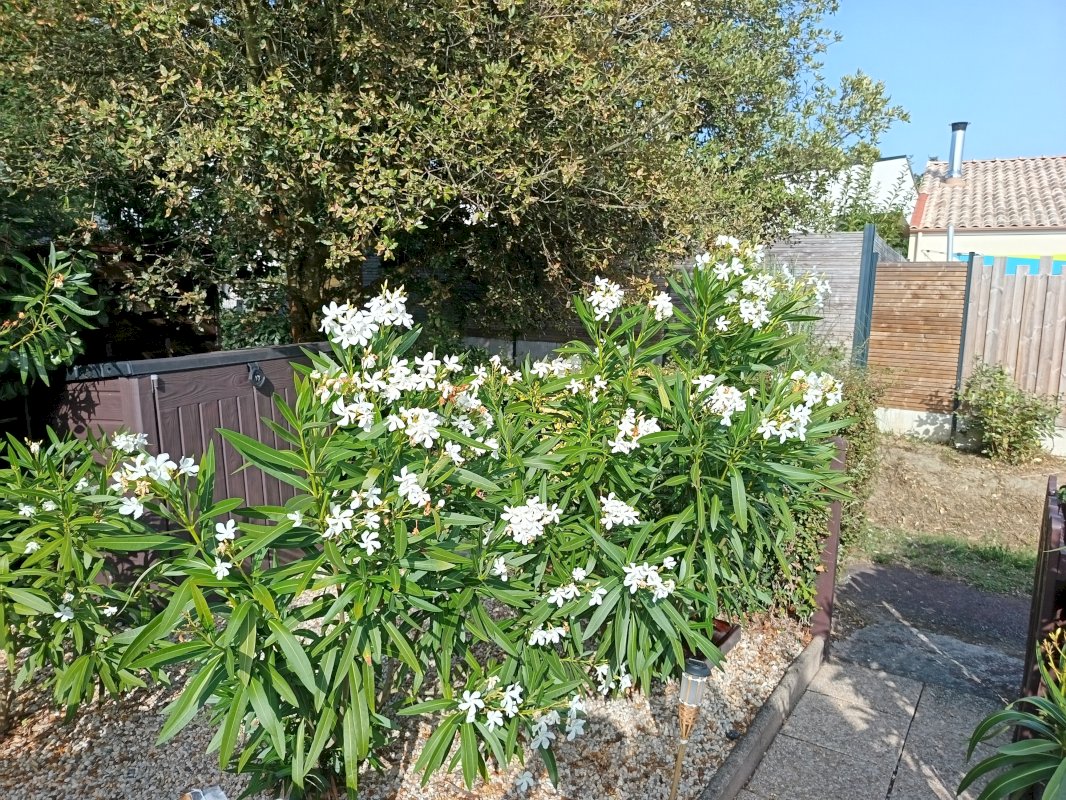 ph8_30027