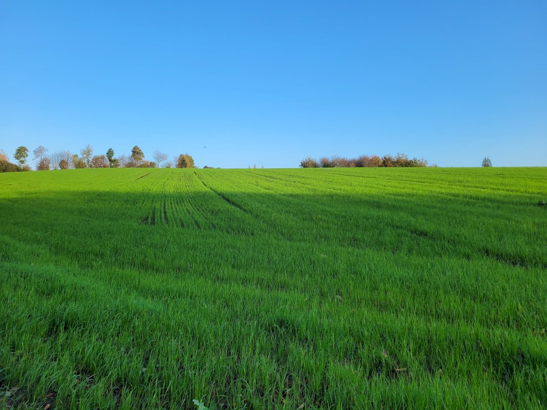 Corps de ferme - Photo 9 - Ernée